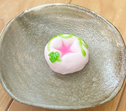 朝顔